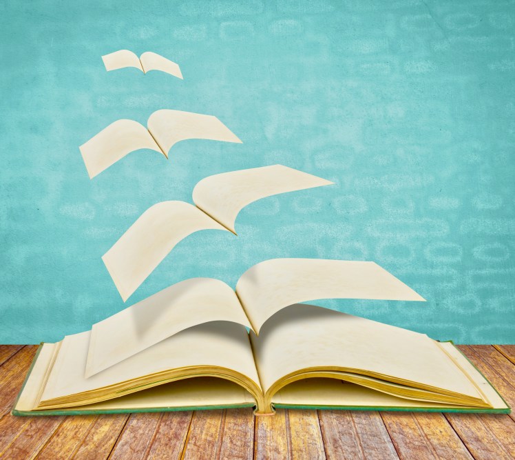 Open flying old books